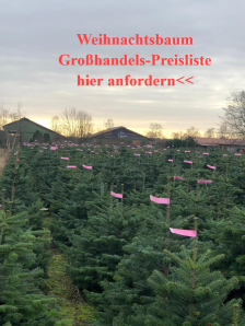 Weihnachtsbaum Preisliste: zum Weihnachtsbäume kaufen