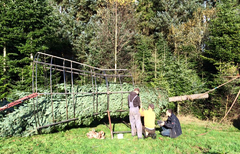 weihnachtsbäume Holstein Netzt große Deko-Tannen professionell ein