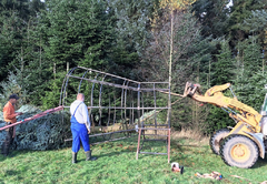 Die Weihnachtsbaum Profis sind im Einsatz